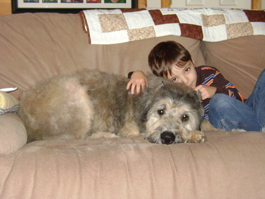 kids and aussiedoodles